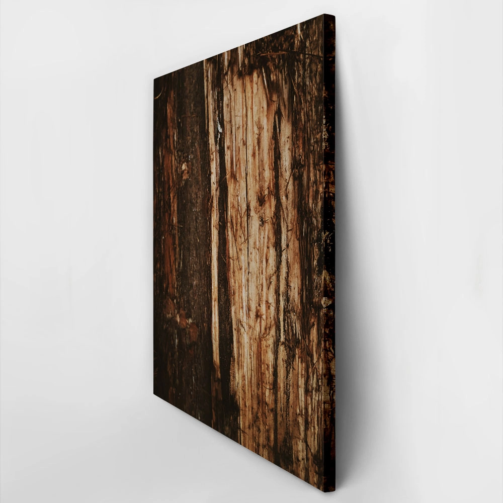 Πίνακας σε Καμβά RUSTIC FARMHOUSE TREE BARK 4