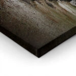 Πίνακας σε Καμβά RUSTIC FARMHOUSE TREE PATH