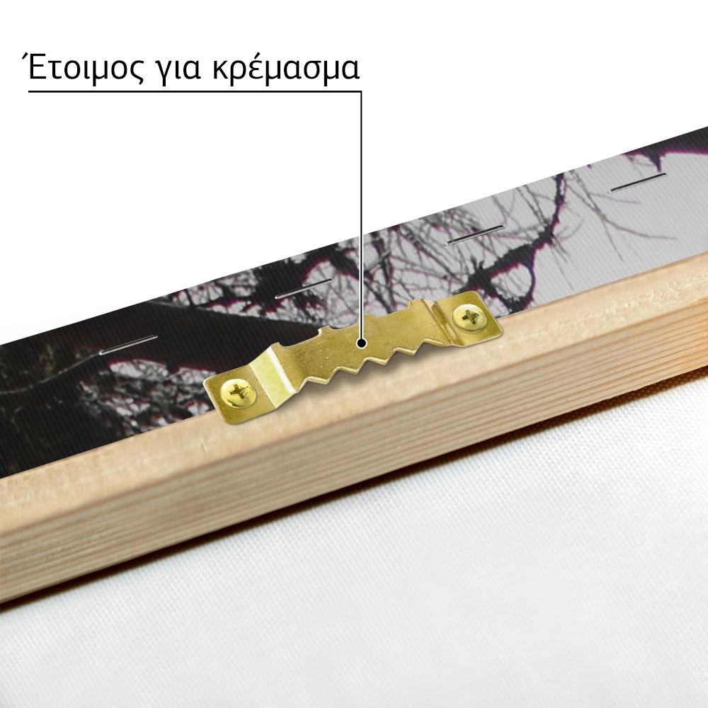 Πίνακας σε Καμβά RUSTIC FARMHOUSE TREE PATH