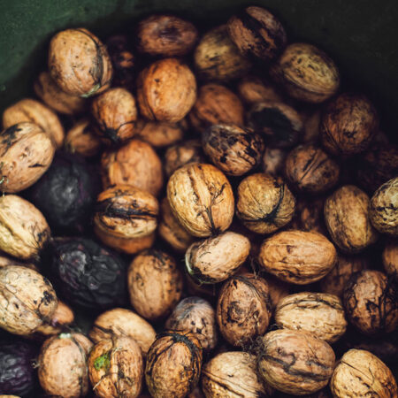 Πίνακας σε Καμβά RUSTIC FARMHOUSE WALNUTS -  Sticky 5