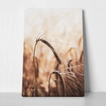 Πίνακας σε Καμβά RUSTIC FARMHOUSE WHEAT 2