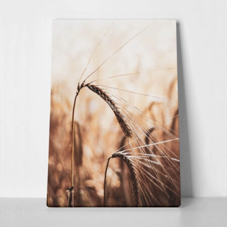 Πίνακας σε Καμβά RUSTIC FARMHOUSE WHEAT 2 - 