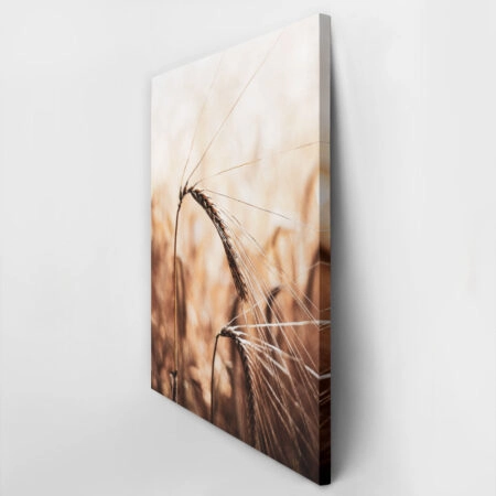 Πίνακας σε Καμβά RUSTIC FARMHOUSE WHEAT 2 -  Sticky 2