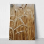 Πίνακας σε Καμβά RUSTIC FARMHOUSE WHEAT 4