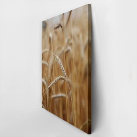 Πίνακας σε Καμβά RUSTIC FARMHOUSE WHEAT 4 -  Sticky 2
