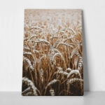 Πίνακας σε Καμβά RUSTIC FARMHOUSE WHEAT 5