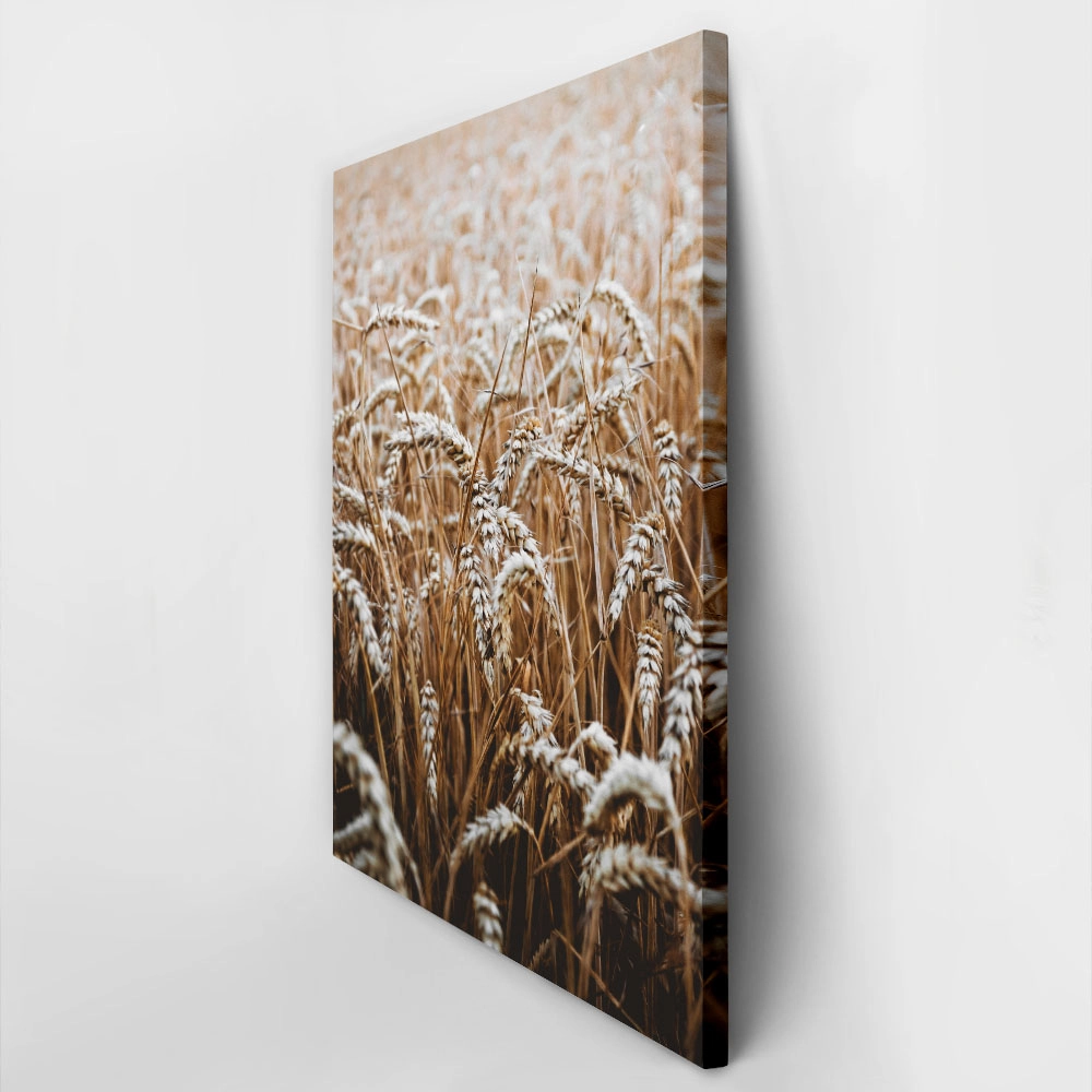 Πίνακας σε Καμβά RUSTIC FARMHOUSE WHEAT 5