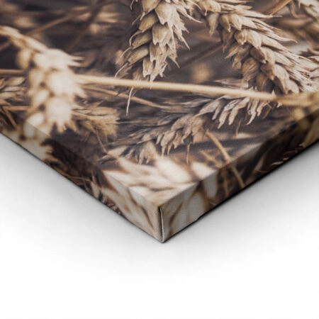 Πίνακας σε Καμβά RUSTIC FARMHOUSE WHEAT 6 -  Sticky 1