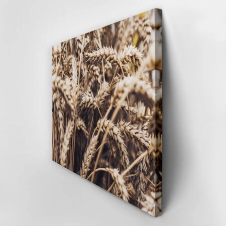 Πίνακας σε Καμβά RUSTIC FARMHOUSE WHEAT 6 -  Sticky 2