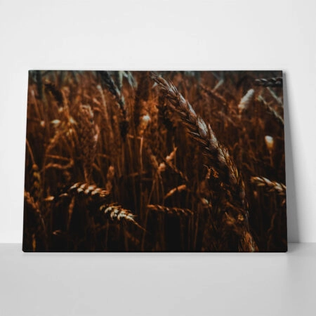 Πίνακας σε Καμβά RUSTIC FARMHOUSE WHEAT FIELD 10