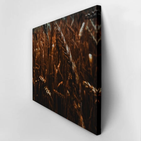Πίνακας σε Καμβά RUSTIC FARMHOUSE WHEAT FIELD 10 -  Sticky 2