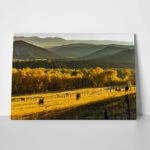 Πίνακας σε Καμβά RUSTIC FARMHOUSE WHEAT FIELD 11