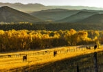 Πίνακας σε Καμβά RUSTIC FARMHOUSE WHEAT FIELD 11