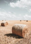 Πίνακας σε Καμβά RUSTIC FARMHOUSE WHEAT FIELD 2