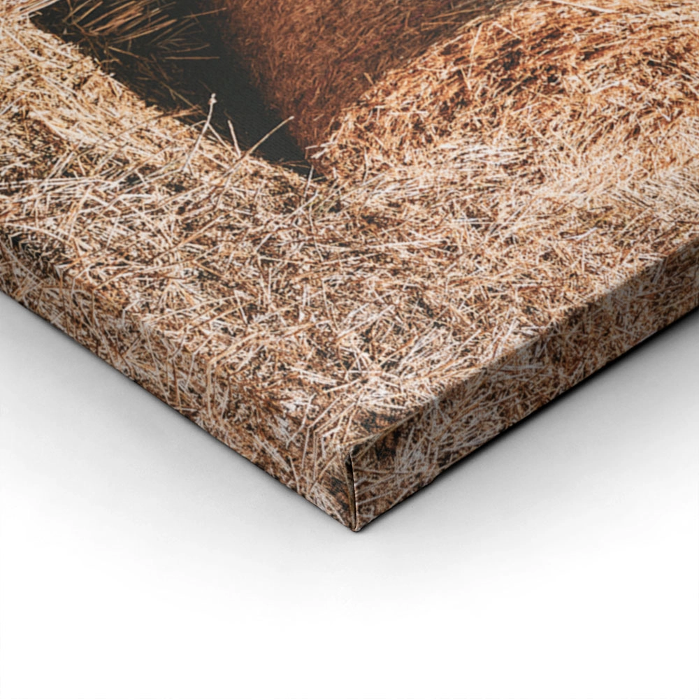 Πίνακας σε Καμβά RUSTIC FARMHOUSE WHEAT FIELD 2