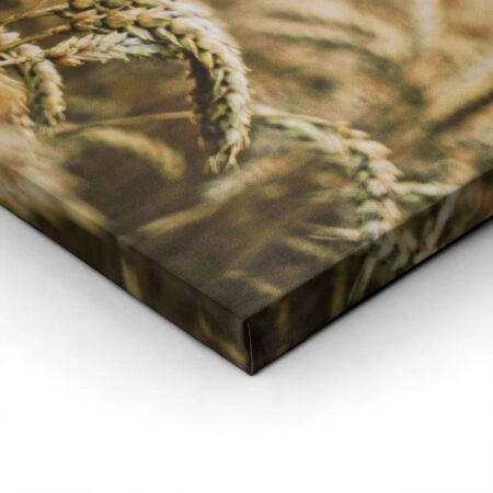 Πίνακας σε Καμβά RUSTIC FARMHOUSE WHEAT FIELD 5 -  Sticky 1