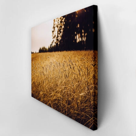 Πίνακας σε Καμβά RUSTIC FARMHOUSE WHEAT FIELD 6 -  Sticky 2