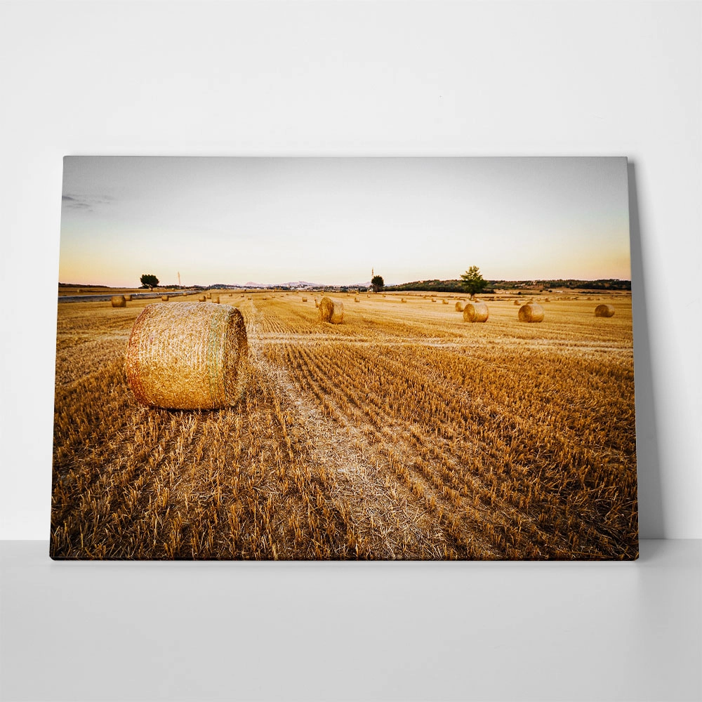 Πίνακας σε Καμβά RUSTIC FARMHOUSE WHEAT FIELD 7