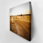 Πίνακας σε Καμβά RUSTIC FARMHOUSE WHEAT FIELD 7