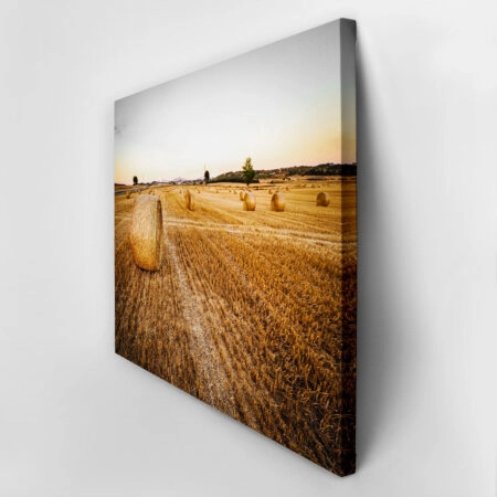 Πίνακας σε Καμβά RUSTIC FARMHOUSE WHEAT FIELD 7 -  Sticky 2