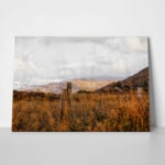Πίνακας σε Καμβά RUSTIC FARMHOUSE WHEAT FIELD 9