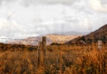 Πίνακας σε Καμβά RUSTIC FARMHOUSE WHEAT FIELD 9