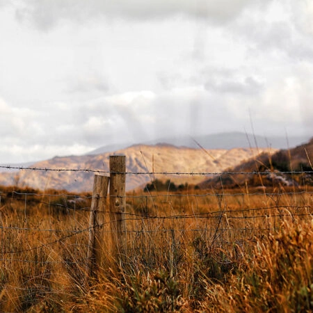 Πίνακας σε Καμβά RUSTIC FARMHOUSE WHEAT FIELD 9 -  Sticky 5