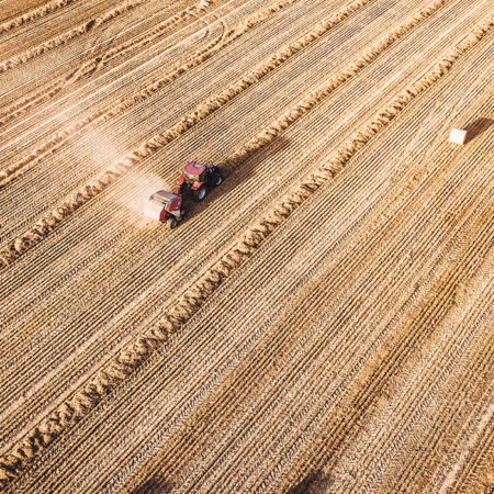 Πίνακας σε Καμβά RUSTIC FARMHOUSE WHEAT FIELD -  Sticky 5