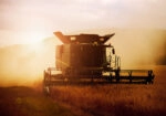 Πίνακας σε Καμβά RUSTIC FARMHOUSE WHEAT HARVEST