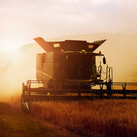 Πίνακας σε Καμβά RUSTIC FARMHOUSE WHEAT HARVEST -  Sticky 5