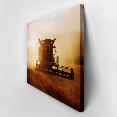 Πίνακας σε Καμβά RUSTIC FARMHOUSE WHEAT HARVEST -  Sticky 2