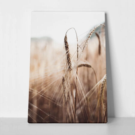Πίνακας σε Καμβά RUSTIC FARMHOUSE WHEAT - 