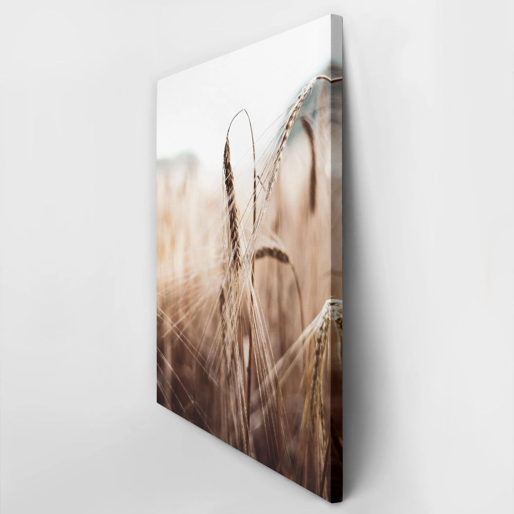 Πίνακας σε Καμβά RUSTIC FARMHOUSE WHEAT