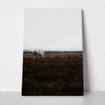 Πίνακας σε Καμβά RUSTIC FARMHOUSE WHITE HORSE