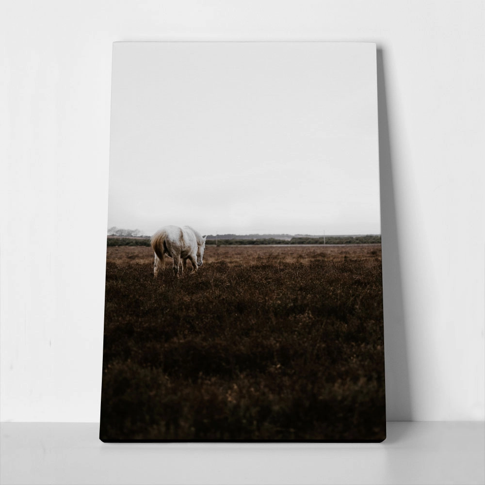 Πίνακας σε Καμβά RUSTIC FARMHOUSE WHITE HORSE