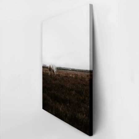 Πίνακας σε Καμβά RUSTIC FARMHOUSE WHITE HORSE -  Sticky 2