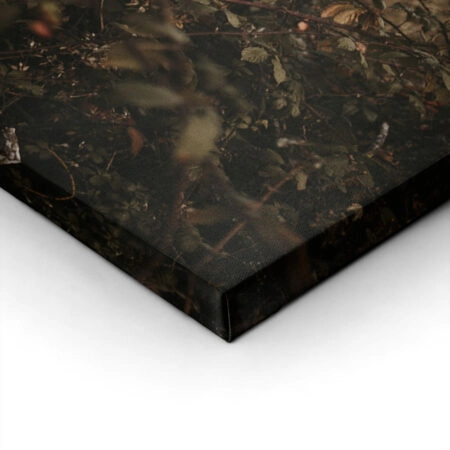 Πίνακας σε Καμβά RUSTIC FARMHOUSE WILD BERRIES -  Sticky 1