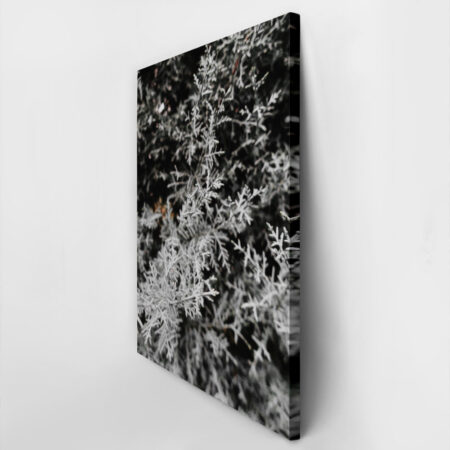 Πίνακας σε Καμβά RUSTIC FARMHOUSE WINTER LEAVES -  Sticky 2