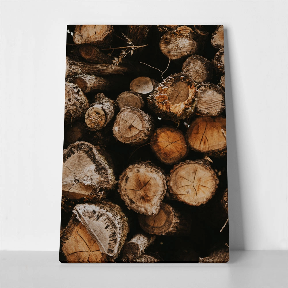 Πίνακας σε Καμβά RUSTIC FARMHOUSE WOOD LOGS 11