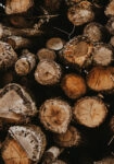 Πίνακας σε Καμβά RUSTIC FARMHOUSE WOOD LOGS 11