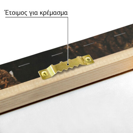 Πίνακας σε Καμβά RUSTIC FARMHOUSE WOOD LOGS 11 -  Sticky 4