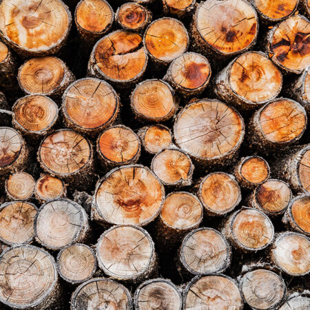 Πίνακας σε Καμβά RUSTIC FARMHOUSE WOOD LOGS 13 -  Sticky 5