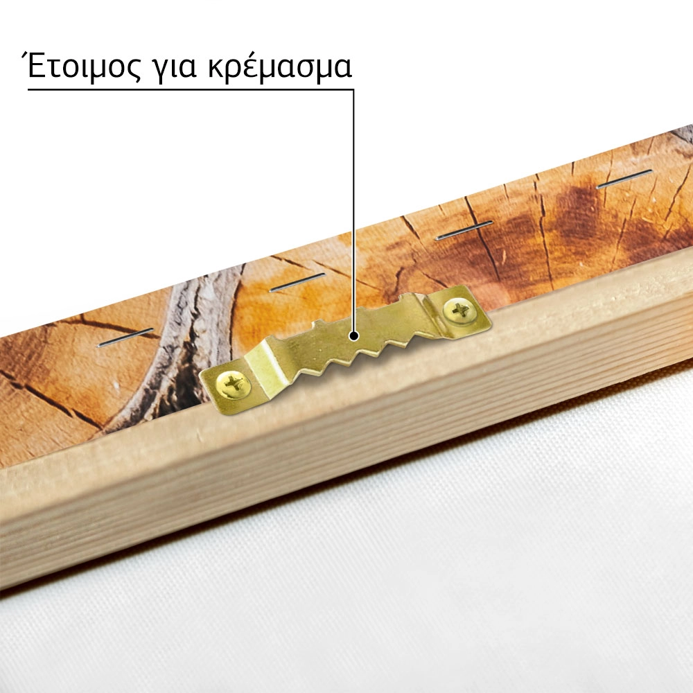 Πίνακας σε Καμβά RUSTIC FARMHOUSE WOOD LOGS 13