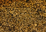 Πίνακας σε Καμβά RUSTIC FARMHOUSE WOOD LOGS 15
