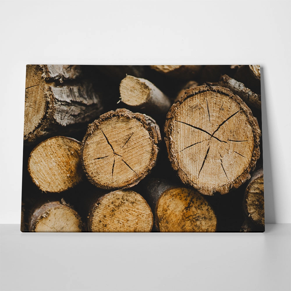 Πίνακας σε Καμβά RUSTIC FARMHOUSE WOOD LOGS 16
