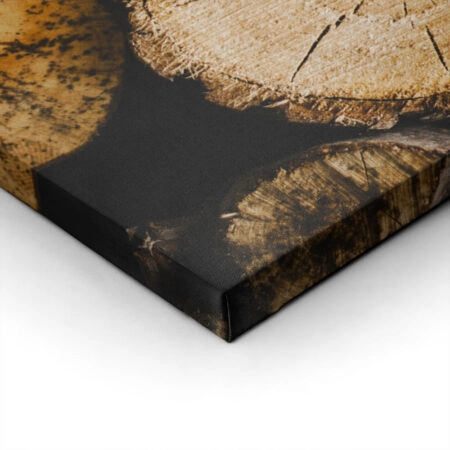 Πίνακας σε Καμβά RUSTIC FARMHOUSE WOOD LOGS 16 -  Sticky 1