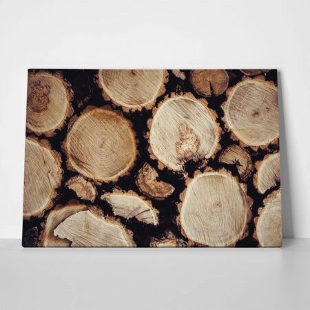 Πίνακας σε Καμβά RUSTIC FARMHOUSE WOOD LOGS 17 - 