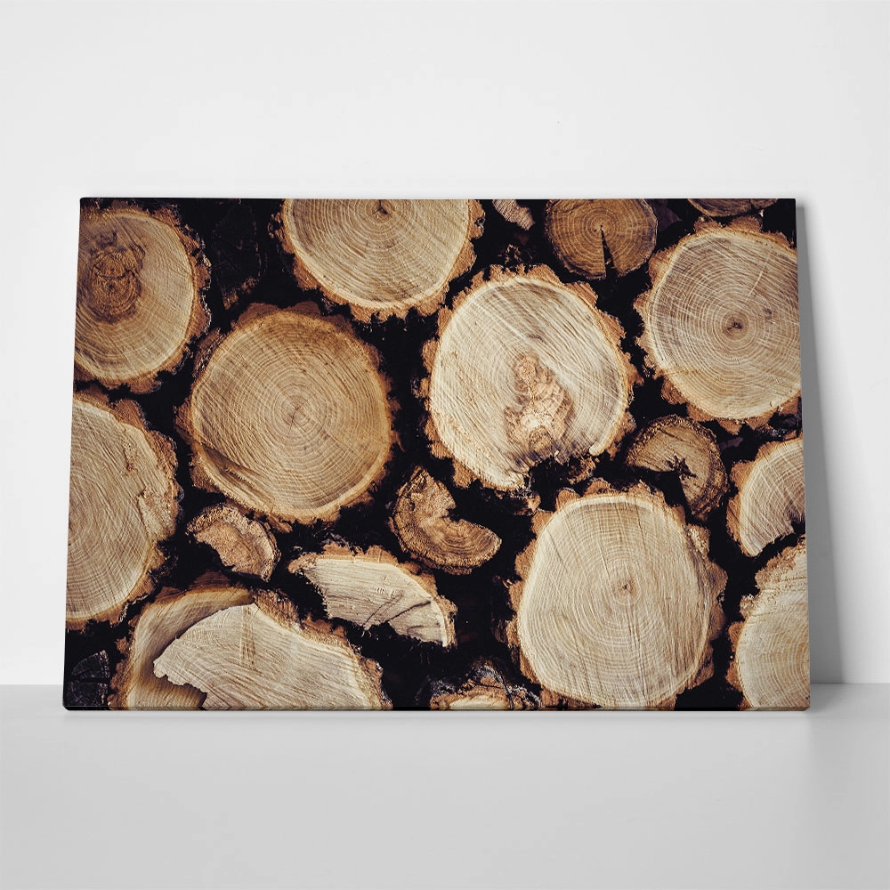 Πίνακας σε Καμβά RUSTIC FARMHOUSE WOOD LOGS 17