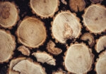 Πίνακας σε Καμβά RUSTIC FARMHOUSE WOOD LOGS 17