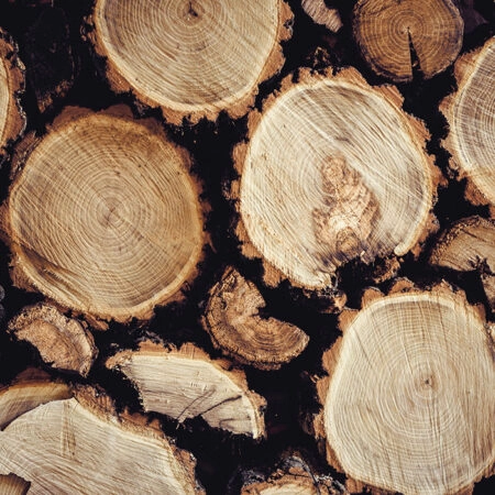 Πίνακας σε Καμβά RUSTIC FARMHOUSE WOOD LOGS 17 -  Sticky 5